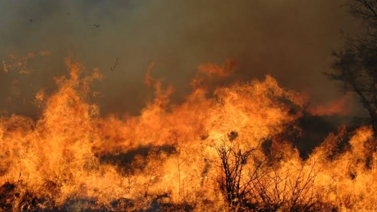 The First Fire - The legend comes from the Aboriginal people who lived on the north coast of New South Wales